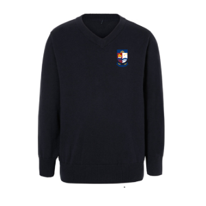 Navy V neck Sweater ŻAGLE