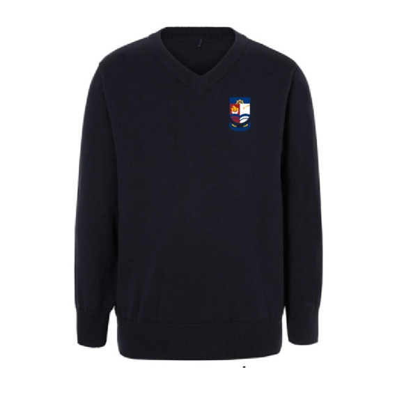 Navy V neck Sweater ŻAGLE