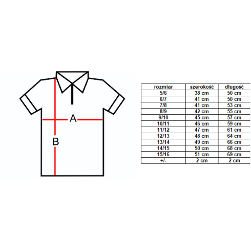 Long sleeve polo unisex STRUMIENIE