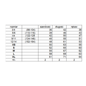 Hoodie premium  NSP81 2