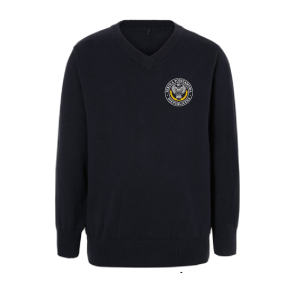 Sweterek V neck NSP81