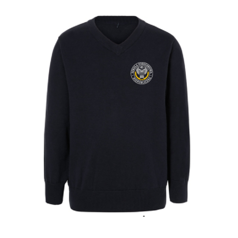 Navy V neck Sweater NSP81