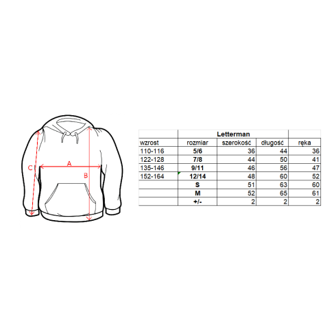 Bluza college bordowa WIS