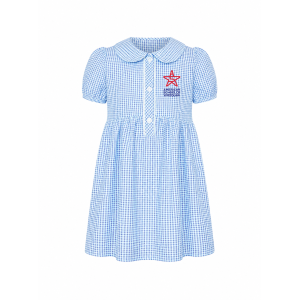 Gingham light blue Dress ASW