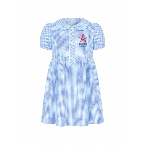 Gingham light blue Dress ASW