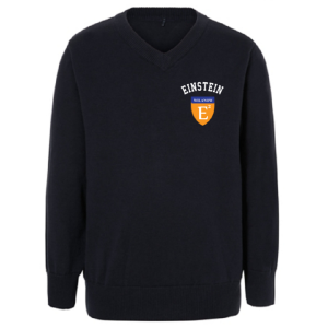 Sweterek V neck WIL