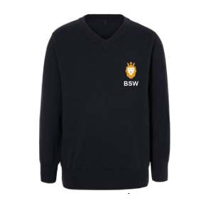 Navy V neck Sweater BSW