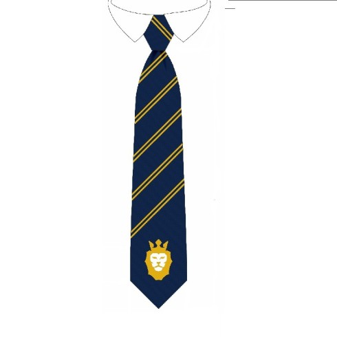 Tie with BSW logo