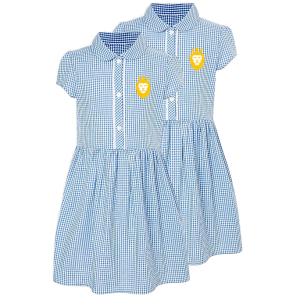 Gingham light blue Dress BSW