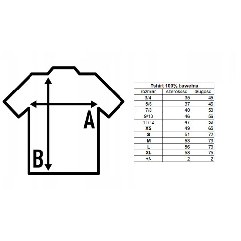 Sport 100% cotton tshirt for PE /...