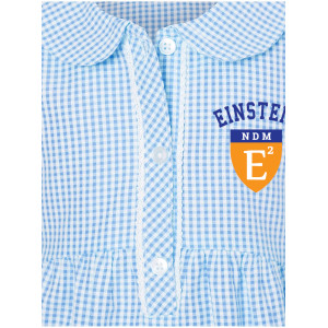 Light blue gingham Dress NDM 2