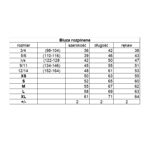 V neck sweatshirt Akademia... 2