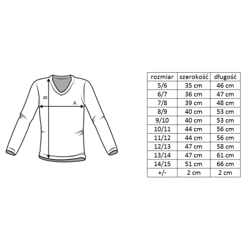 Navy V neck Sweater Lindego