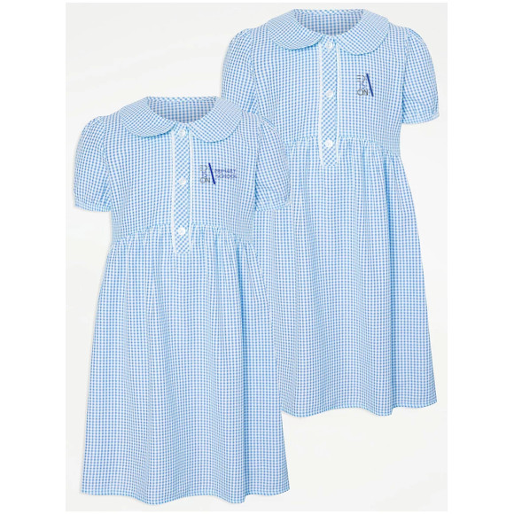 Gingham light blue Dress Edison