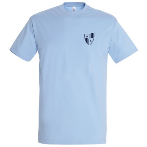 100% cotton Tshirt for PE WIS