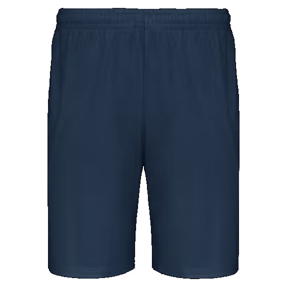 Navy PE shorts WIS
