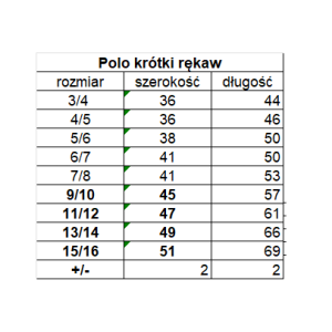 Polo krótki rękaw sky blue WIS 2