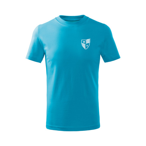 100% cotton Tshirt for PE WIS